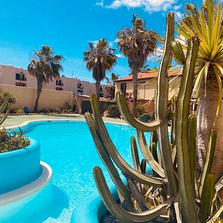 Apartament Surf And Chill Bungalow 70 Parque Holandes Zewnętrze zdjęcie