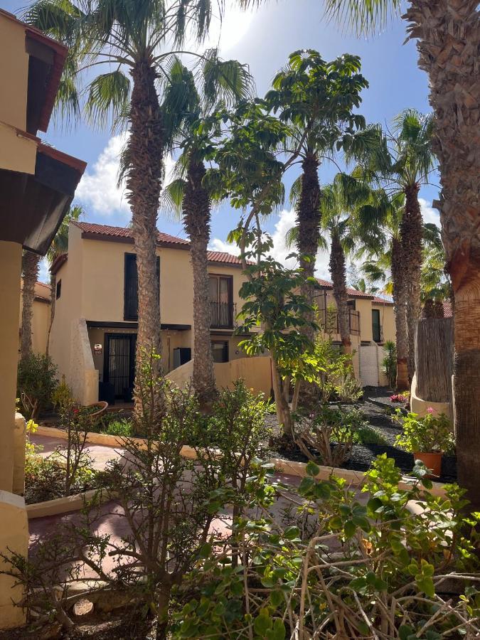Apartament Surf And Chill Bungalow 70 Parque Holandes Zewnętrze zdjęcie