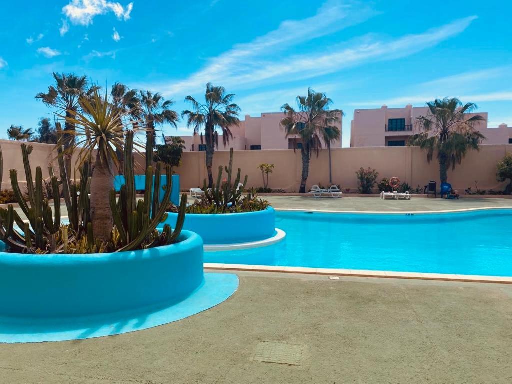 Apartament Surf And Chill Bungalow 70 Parque Holandes Zewnętrze zdjęcie